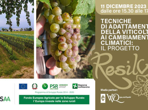 Evento "Tecniche di adattamento della viticoltura ai cambiamenti climatici: il progetto ResilVine"